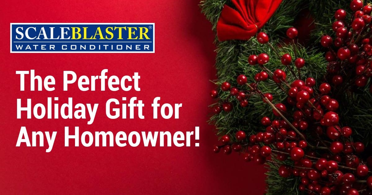 Gift for Any Homeowner