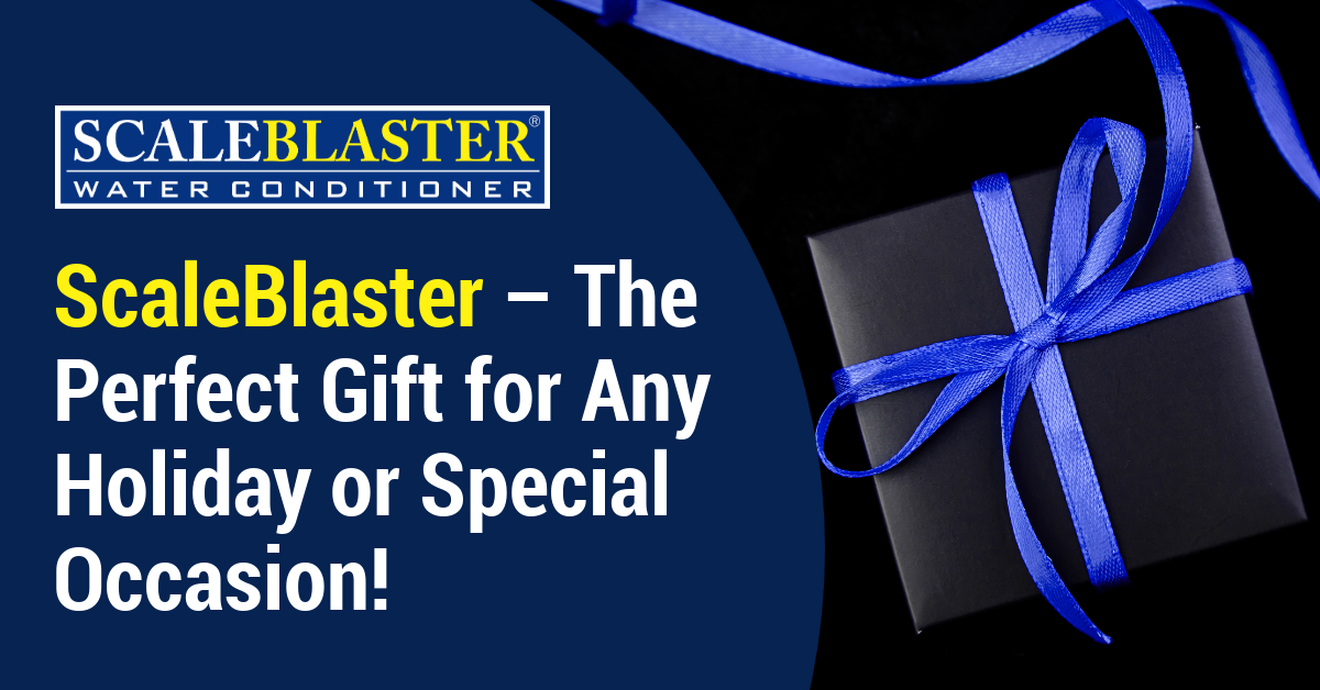 ScaleBlaster – The Perfect Gift for Any Holiday or Special Occasion!