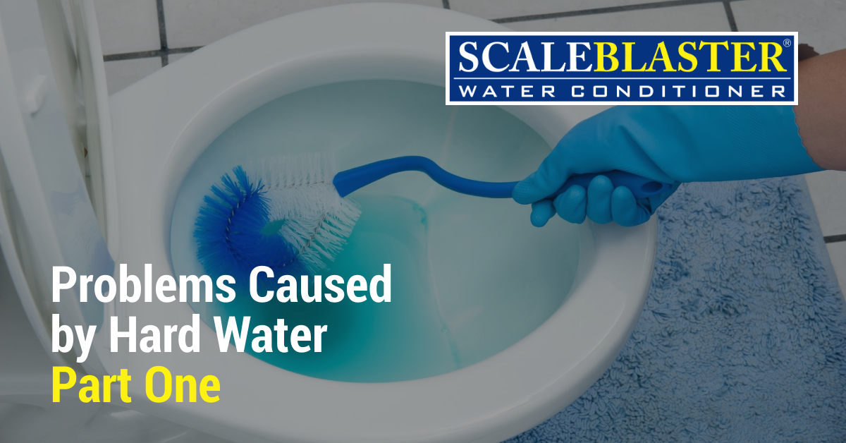 Electronic Water Descaler