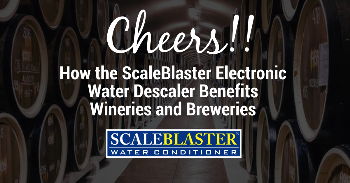 Electronic Water Descaler