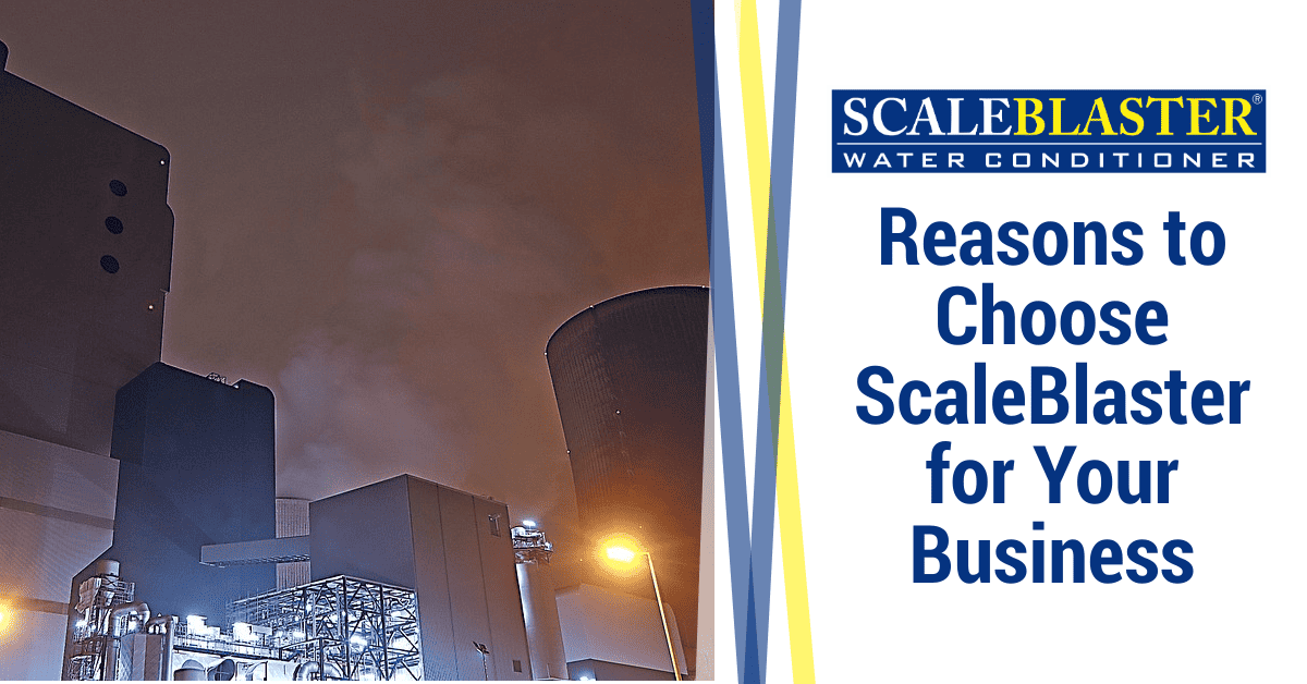 Reasons to Choose ScaleBlaster for Your Business