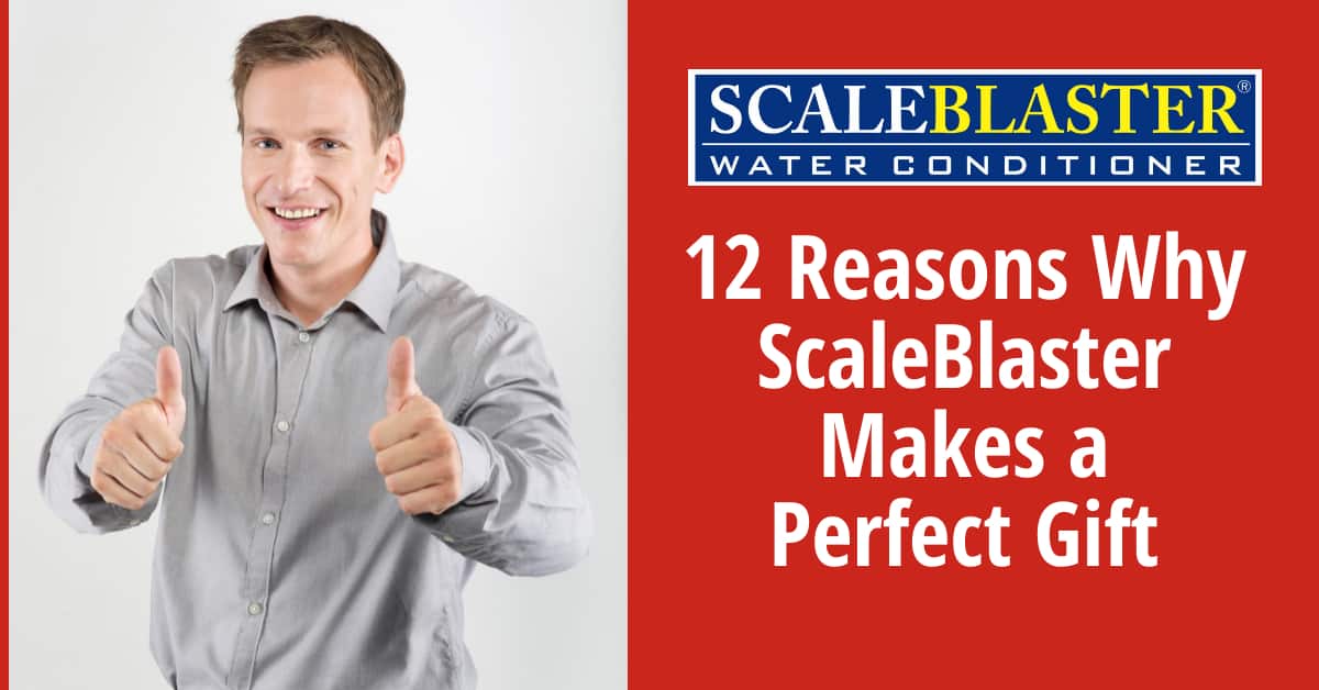 12 Reasons Why ScaleBlaster Makes a Perfect Gift