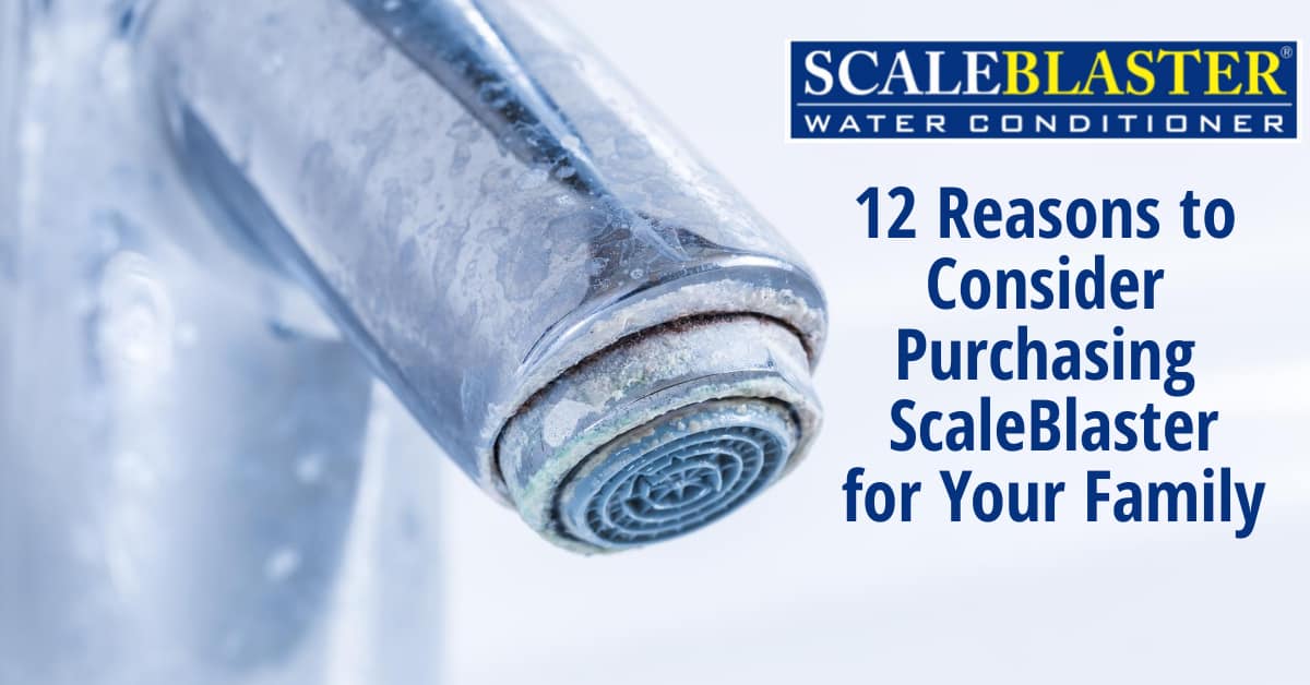12 Reasons to Consider Purchasing ScaleBlaster for Your Family