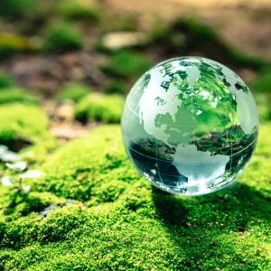 Glass globe on mossy ground symbolizing ScaleBlaster’s commitment to eco-friendly water treatment.